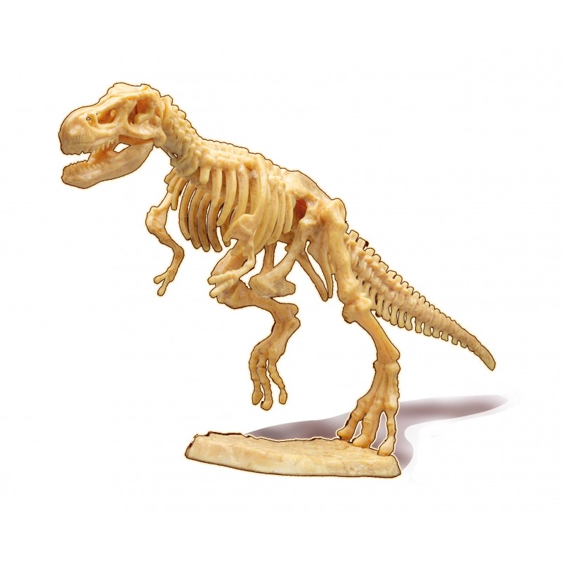 Buki kaevanda Türannosaurus 445TYRI