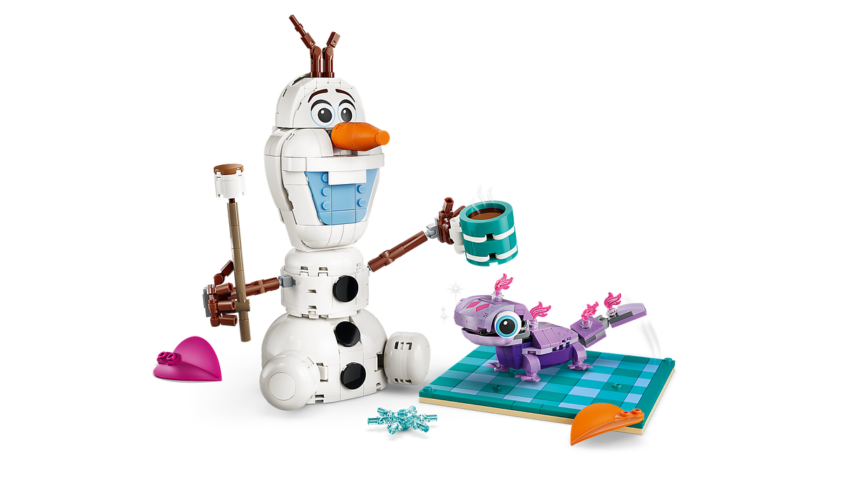 LEGO Disney Olafi ja Bruni piknikulõbu 43287L