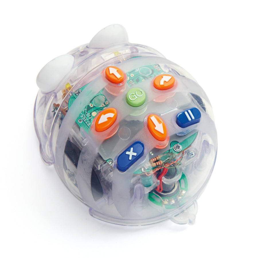 TTS Bee-Bot 5 tk ja Blue-Bot 1 tk komplekt IT01243B