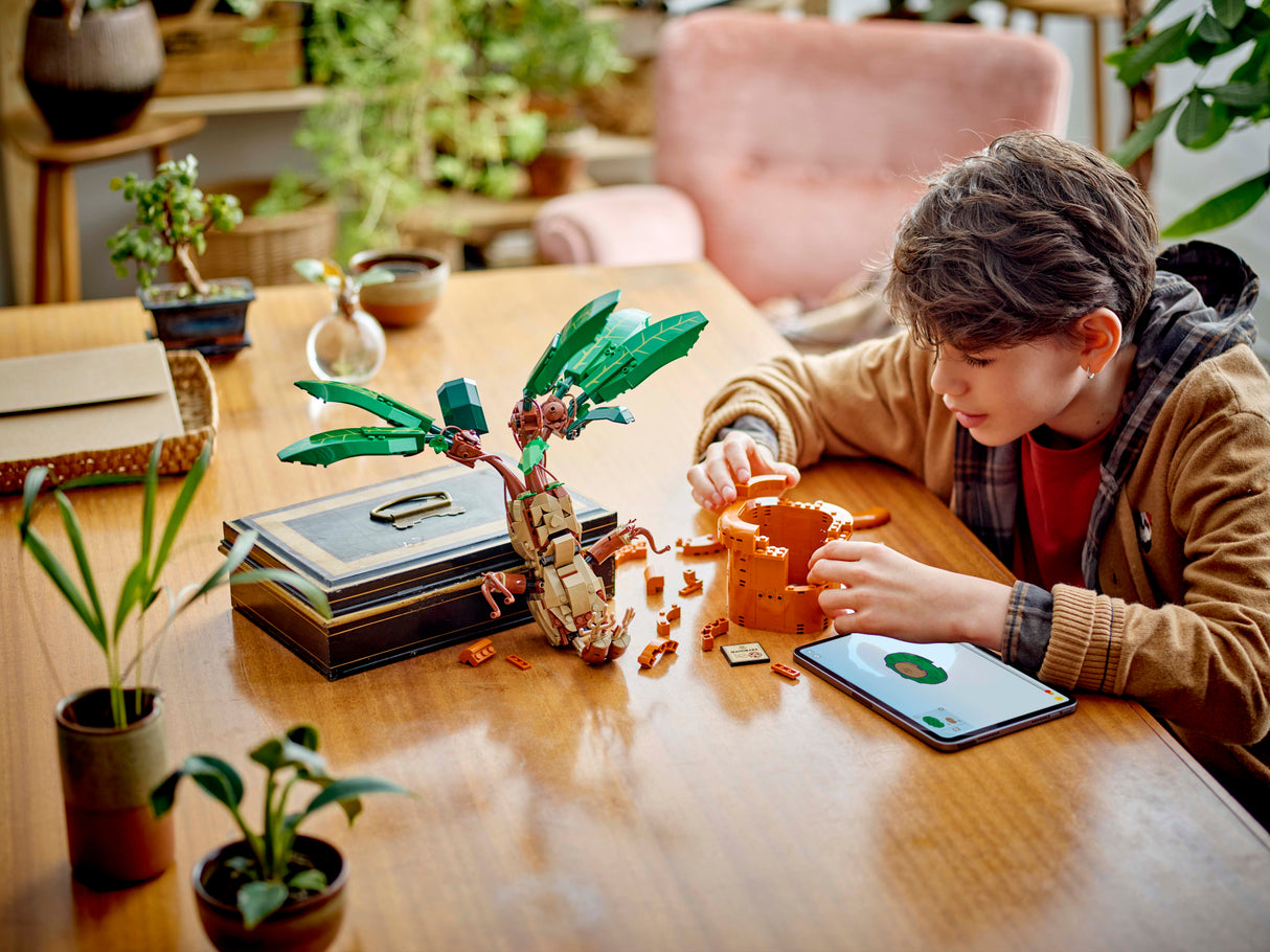 LEGO Harry Potter Nõiajuur 76433L