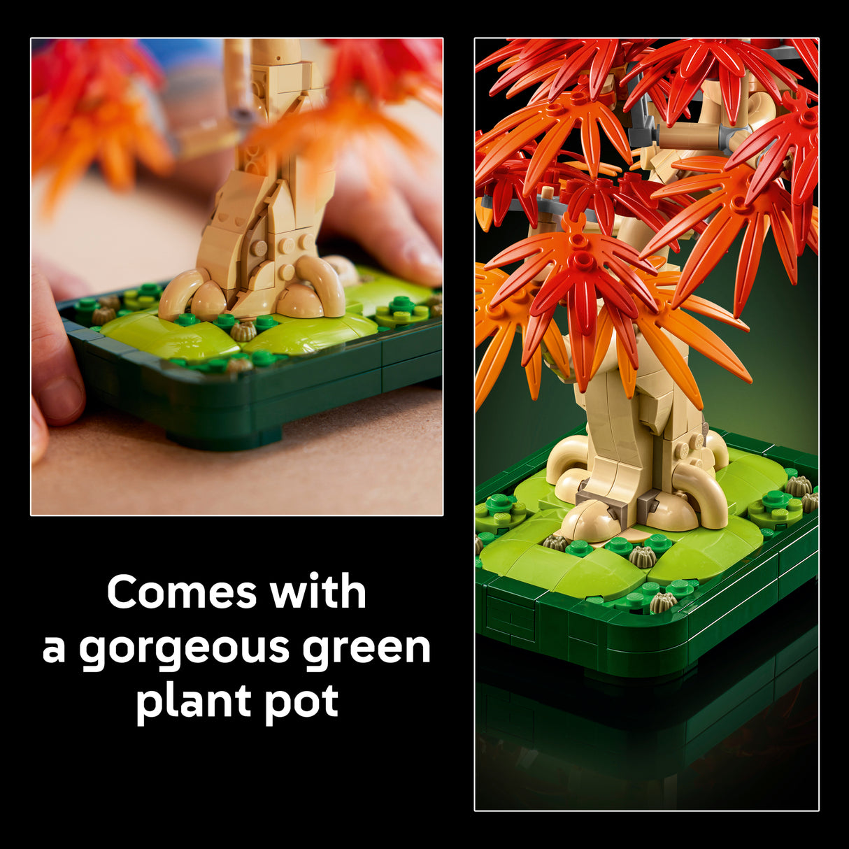LEGO Botanicals Jaapani punase vahtra bonsaipuu
10348L