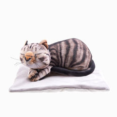 Smaguma un vibrējošie resursi