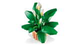 LEGO Botanicals Tõlvlehik 11504L