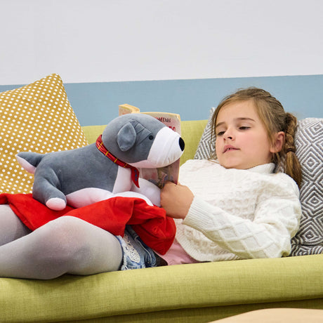 TTS raskusloom sületekiga - šnautser koer 1,36kg SD12678B