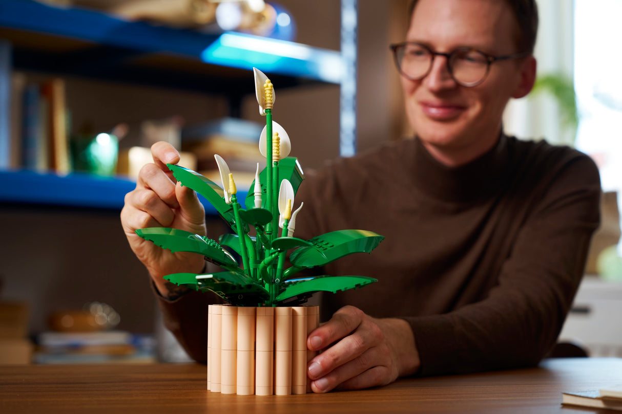 LEGO Botanicals Tõlvlehik 11504L