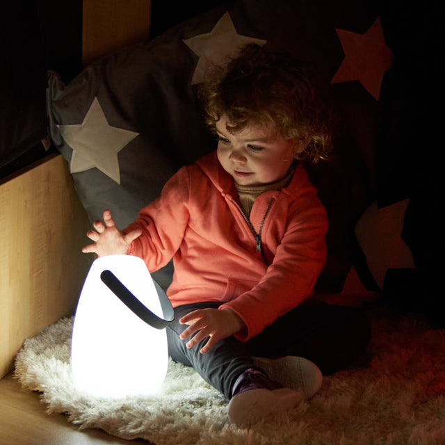 TTS helendavad laternad, 2 tk SS46614B