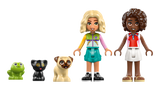 LEGO Friends Lemmikloomatarvikute kaubik 42678L