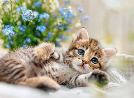 Ravensburger pusle 500 tk: mänguline kassipoeg 12001904V