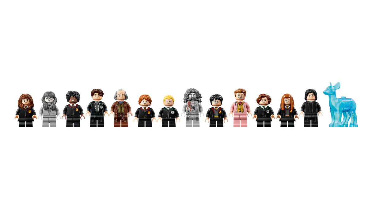 LEGO Harry Potter Sigatüüka loss: Idatiib 76473L